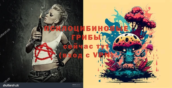 ГАЛЛЮЦИНОГЕННЫЕ ГРИБЫ Баксан