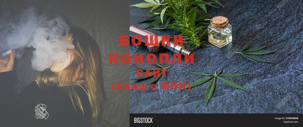 2c-b Богородицк